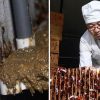 China: Garbage problem SOLVED as BILLIONS of COCKROACHES to eat leftovers