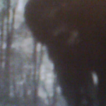 Did Bigfoot Look At A Game Camera?