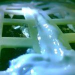 Giant leaf for mankind? China germinates first seed on moon