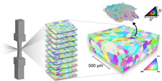 First-of-their-kind 3D experiments shed new light on shape memory alloys