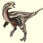 New Species of Oviraptorid Dinosaur Unearthed: Gobiraptor minutus