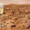Wine on Mars? The World’s Oldest Wine-Making Country Wants to Make It Happen