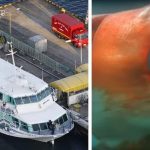 80 Injured In Japan After Ferry Collided With Giant Unidentified Sea Creature