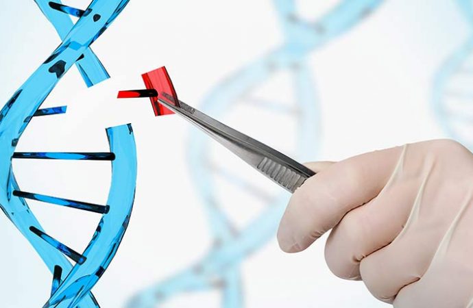 A CRISPR spin-off causes unintended typos in DNA