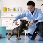 China clones ‘Sherlock Holmes’ police dog to cut training times: state media
