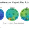 Evidence for a Human Geomagnetic Sense