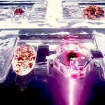 Gummy-like robots that could help prevent disease