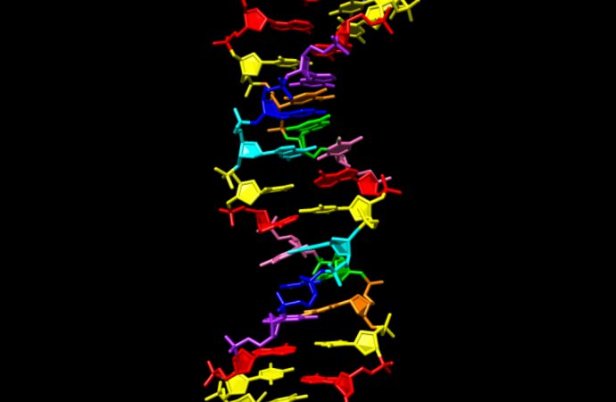 NASA-Funded Research Creates DNA-like Molecule to Aid Search for Alien Life