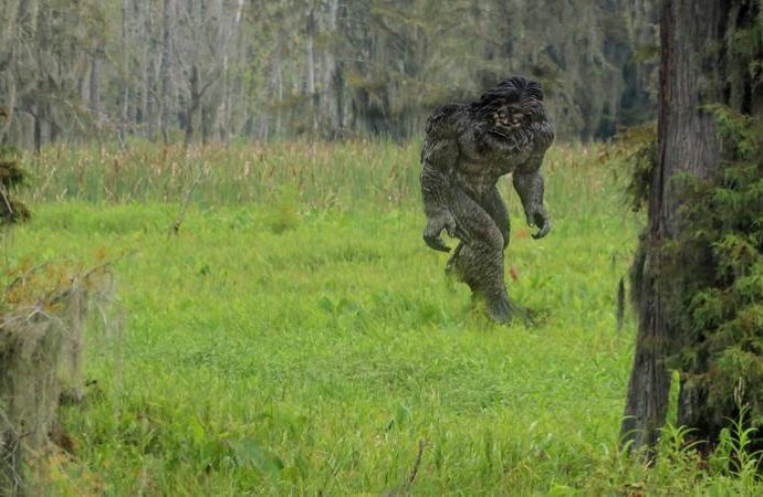 There’s evidence that the Florida Everglades are being terrorized by a ‘Skunk Ape’