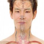 ‘Head transplant’ surgeons claim progress