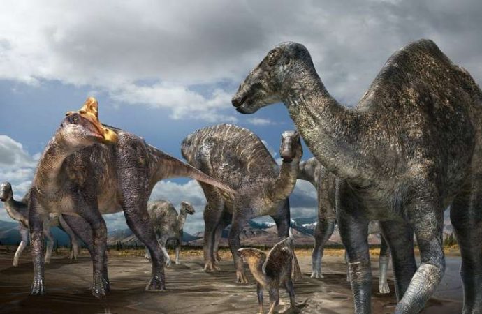 New Type of Arctic Dinosaur Discovered in Alaska