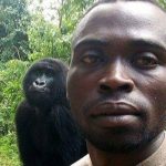 Ranger takes selfie with ‘human-like’ gorillas