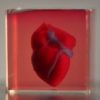 Scientists print first 3D heart using patient’s biological materials