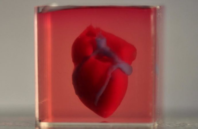 Scientists print first 3D heart using patient’s biological materials