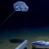 Strange, alien-like jellyfish filmed for first time