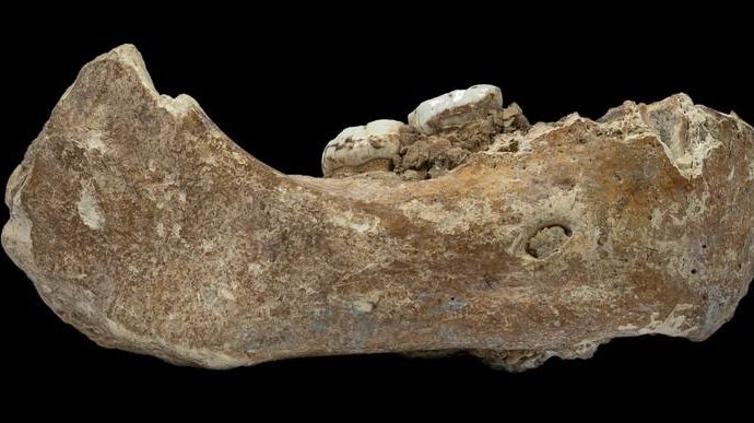 Denisovans, mysterious extinct humans, conquered high altitudes
