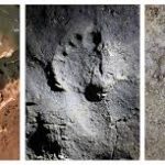 Humans Crawled Through a Cave 14,000 Years Ago. We Can Still See Their Perfectly Preserved Footprints.