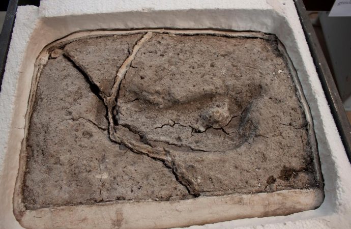 Oldest human footprint found in the Americas confirmed in Chile: researcher