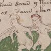 University backtracks on disputed Voynich manuscript theory