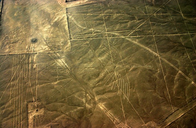 A Mystery of Peru’s Nazca Lines Has Been Unraveled by Ornithology