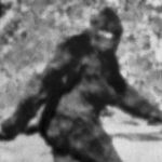 Bigfoot Was Investigated by the FBI. Here’s What They Found