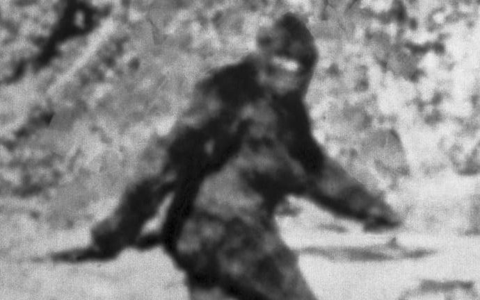 Bigfoot Was Investigated by the FBI. Here’s What They Found