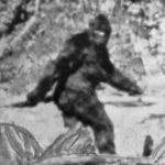 He got the FBI to test ‘Bigfoot’ hair in the 1970s — and this 93-year-old man is still searching for Sasquatch