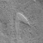 NASA’s Mars orbiter spotted the ‘Star Trek’ logo on Mars and fans are freaking out