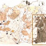 Clues to Martian Life? Organic Material Discovered in a Martian Meteorite