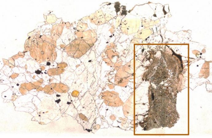 Clues to Martian Life? Organic Material Discovered in a Martian Meteorite