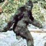 The FBI tested Bigfoot hair back in the 1970s
