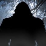 Man opens fire on ‘Bigfoot’ in national park