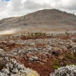 Oldest Known High-Altitude Human Settlement Has Been Discovered in Ethiopia