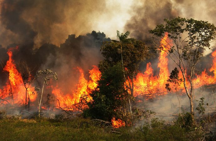 The Amazon is burning at a rate not seen since we started keeping track. The smoke is reaching cities 2,000 miles away.