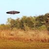 This real-life ‘flying saucer’ actually works