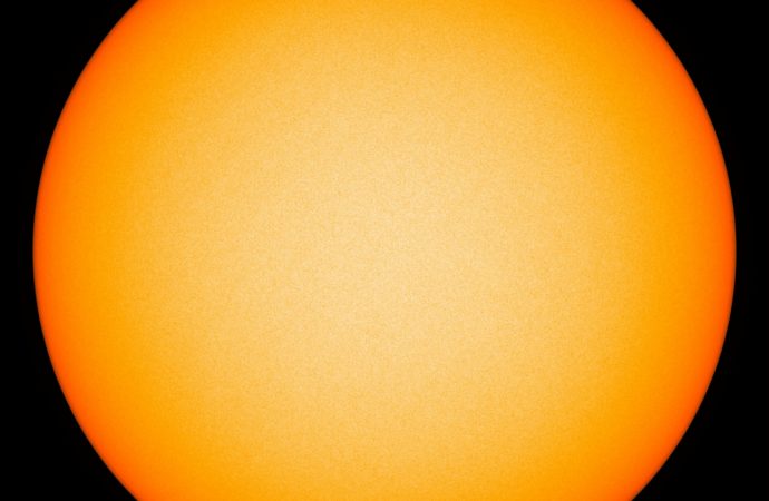 A Summer without Sunspots
