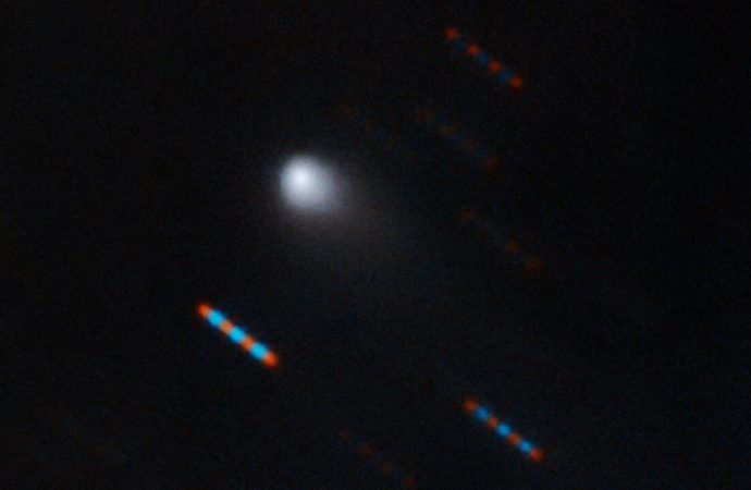 Confirmed: Comet Borisov Is Another Interstellar Visitor