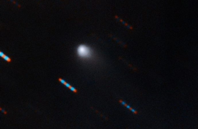 First picture of interstellar comet ‘Borisov’ screaming through our solar system