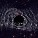 Gravitational waves from a ringing black hole support the no-hair theorem