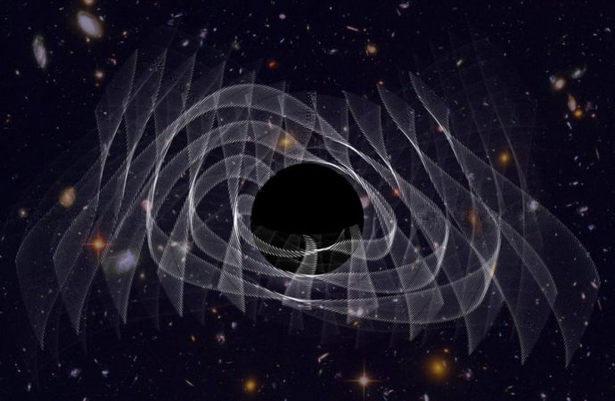 Gravitational waves from a ringing black hole support the no-hair theorem