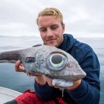Rare, bizarre fish caught off Norwegian Island