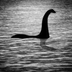 The Mystery Of China’s Loch Ness Monster Has Been Solved