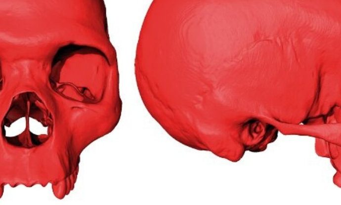 This Skull Is Not Real And Never Existed. But It Could Be Your Ancestor All The Same