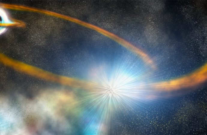 A supermassive black hole shredded a star and was caught in the act
