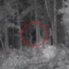 Ghostly image captured along Lake James reignites Bigfoot fever in North Carolina