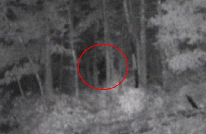 Ghostly image captured along Lake James reignites Bigfoot fever in North Carolina