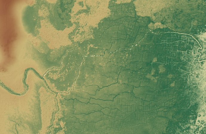 Laser-scanning tech uncovers huge network of ancient Mayan farms