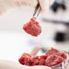 Researchers Find Way to Make Lab Grown Meat More Appealing