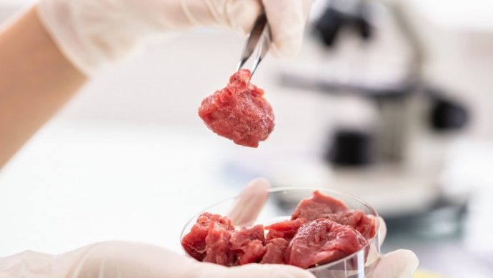 Researchers Find Way to Make Lab Grown Meat More Appealing