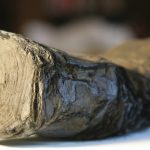 Scorched ancient scrolls could be made readable once again